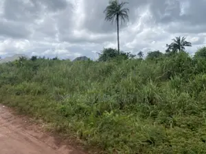 1 Plot for Sale at UMUAHIA