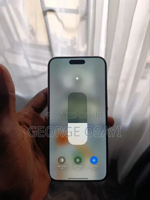 Apple iPhone 15 Pro Max 256 GB Gray