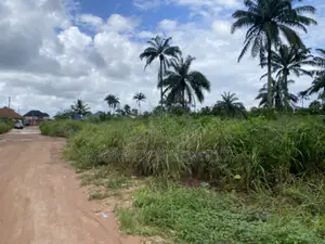 1 Plot for Sale at Ubakala Umuahia