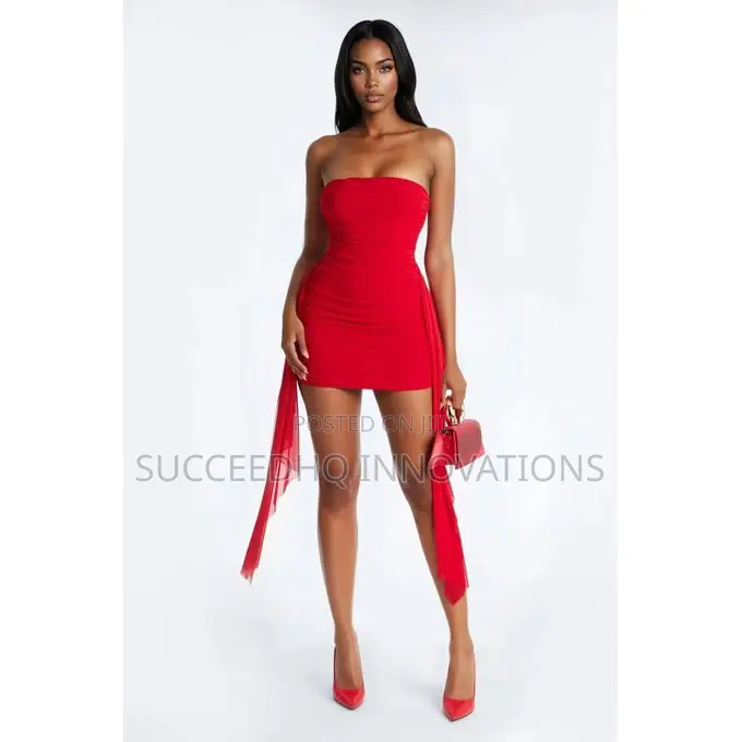 Tessa Draped Mesh Mini Dress