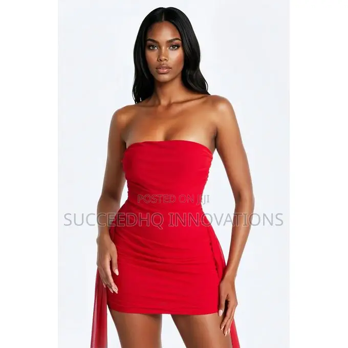 Tessa Draped Mesh Mini Dress