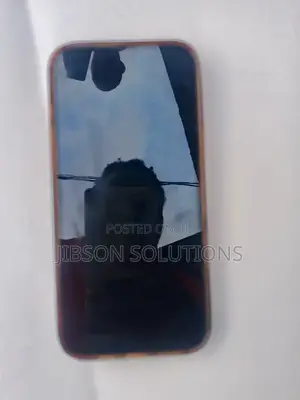 Apple iPhone 16 Pro Max 256 GB Gray