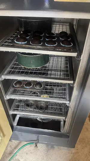 Industrial Oven