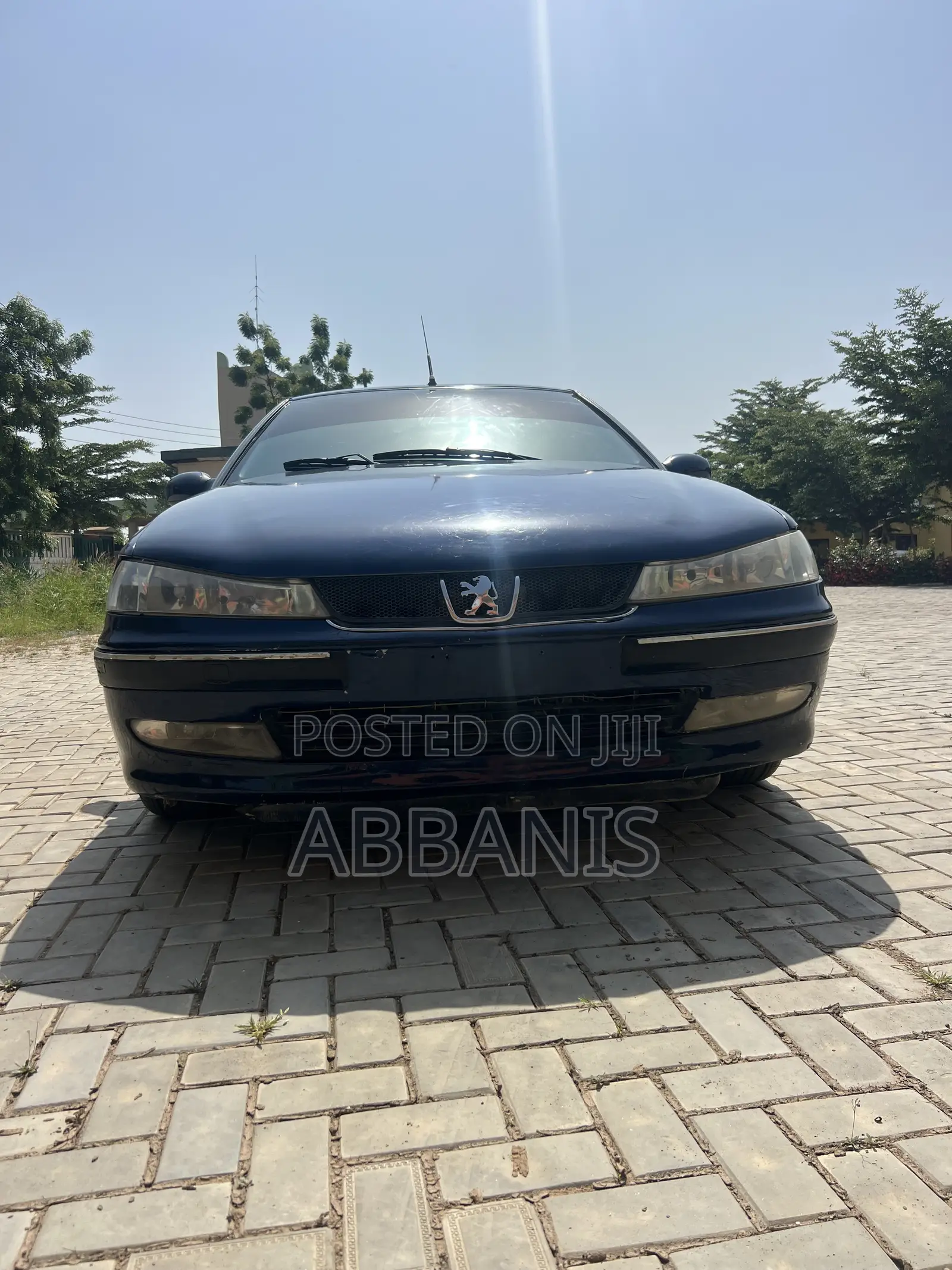 Peugeot 406 2004 Blue