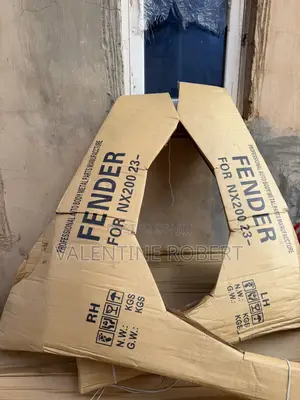 Fender Lexus Nx 2024 Model