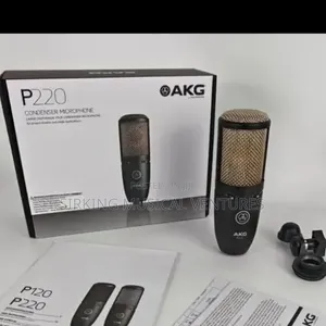 AKG P220 Studio Condenser Microphone