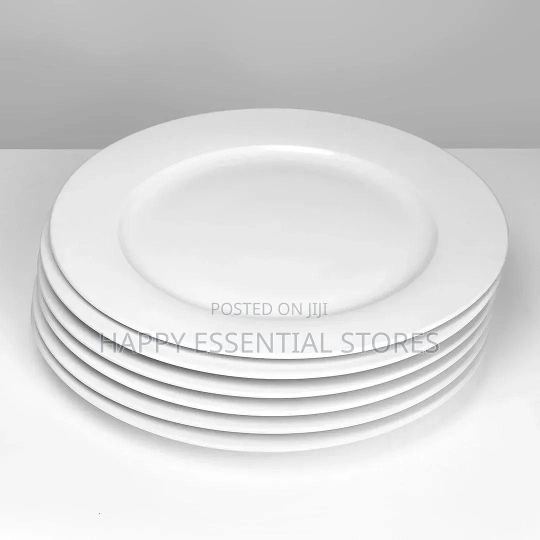 High Quality Ceramic Luxury Rectangle 10inches Dinner Plate CTN