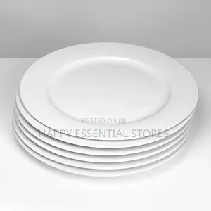 High Quality Ceramic Luxury Rectangle 10inches Dinner Plate CTN