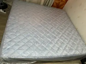 6 by 6 10” Vita Sizzler