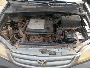 Toyota Sienna 2002 Gray