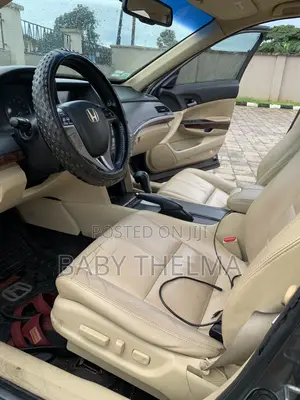 Honda Crosstour 2010 Gray