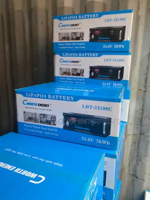2kwh 25.6v Cworth Solar Lithium Battery Available Now in Store