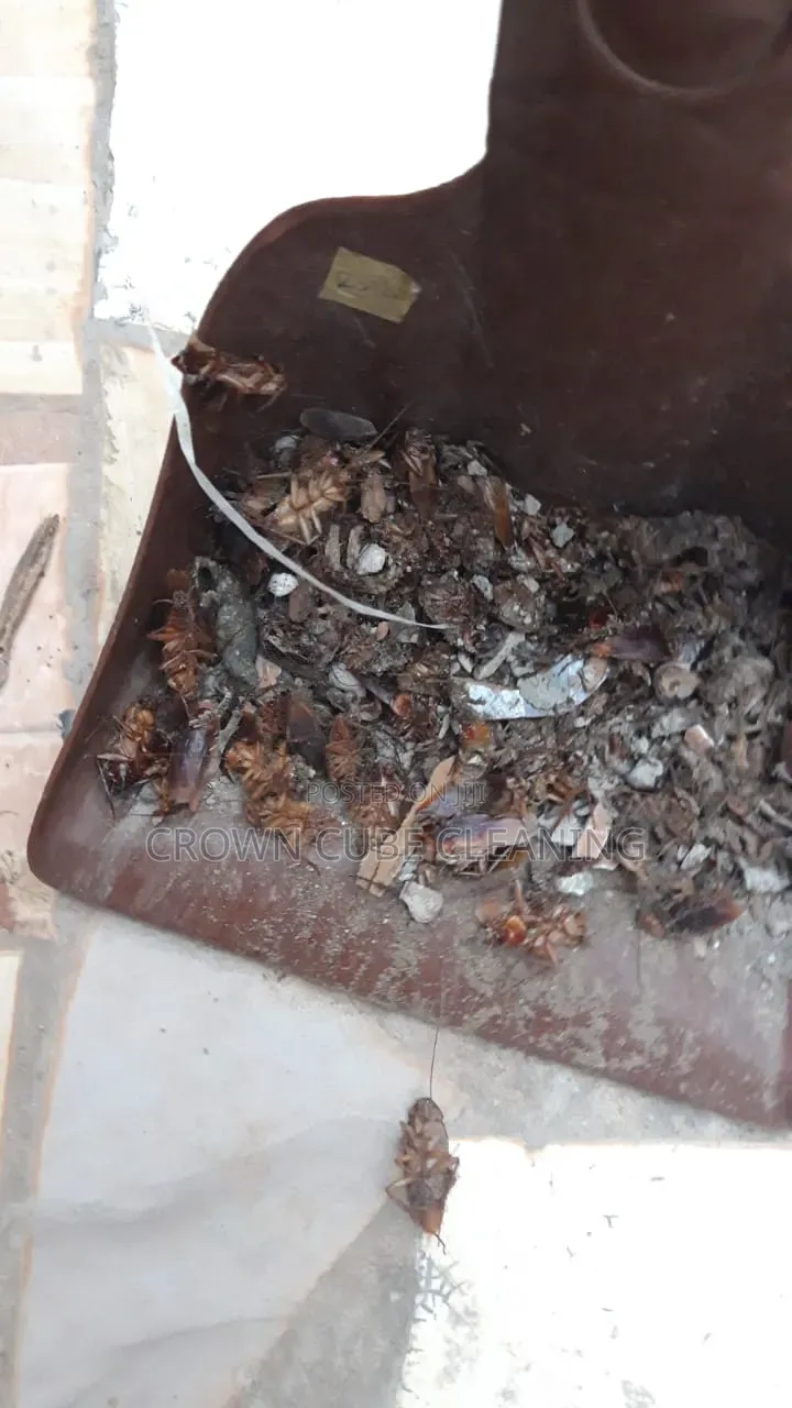 Best Fumigation Services in Agege/ Abuleegba