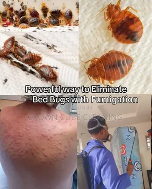 Best Fumigation Services in Agege/ Abuleegba