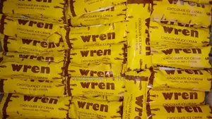 Wren Chocolate Ice-Cream