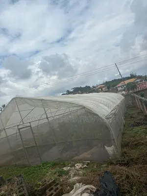 Fully Equipped Units of 8x24m Greenhouse for Sale in Ibadan