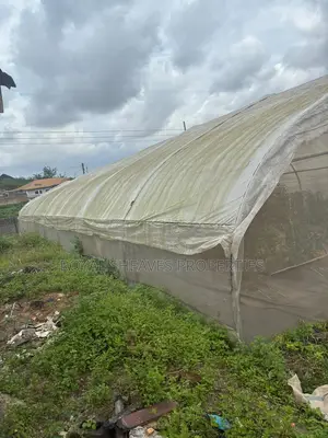 Fully Equipped Units of 8x24m Greenhouse for Sale in Ibadan