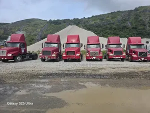 Volvo Head