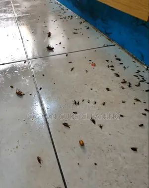 Effective Fumigation Services in Yaba