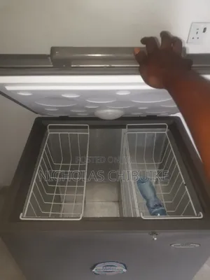 Inverter Freezer Thermocool