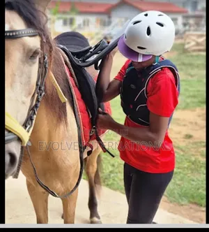 Hire Horse for Events