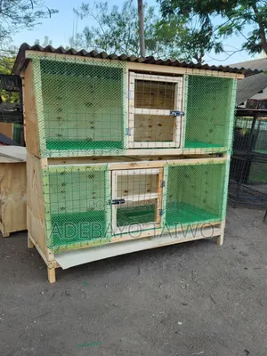 Wooden Chicken Cage Design for Home