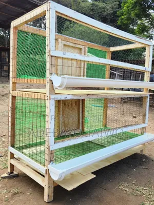 Wooden Chicken Cage Design for Home