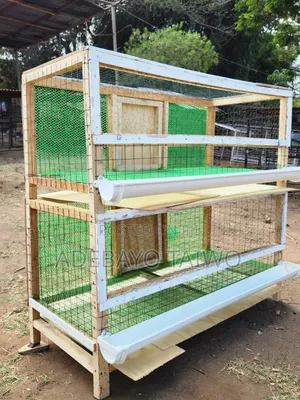 Wooden Chicken Cage Design for Home