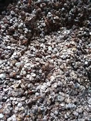 Premium Iru Ekiti