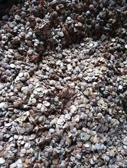 Premium Iru Ekiti