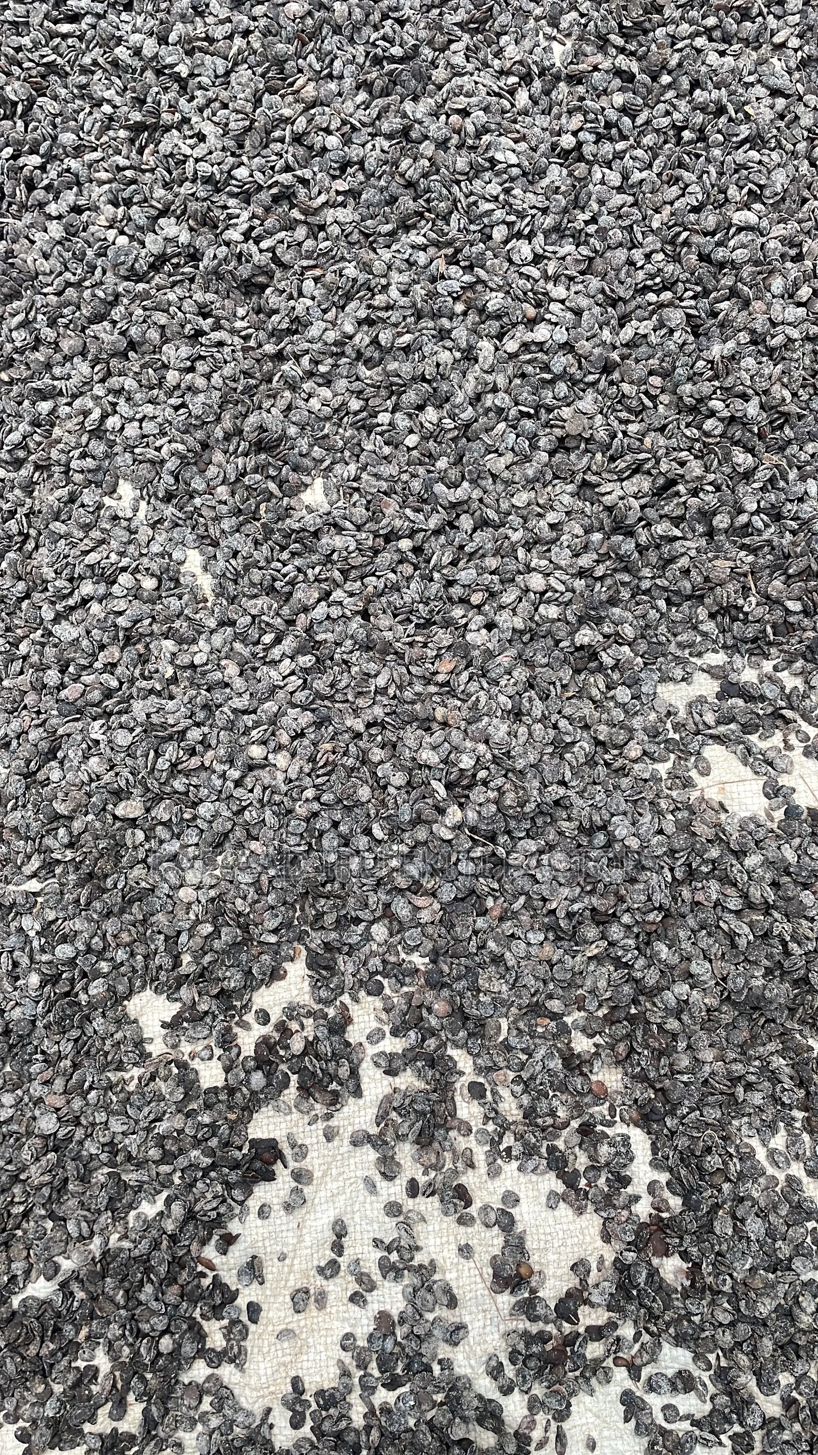 Premium Iru Ekiti