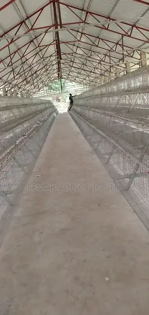 Galvanized Layers Battery Cage