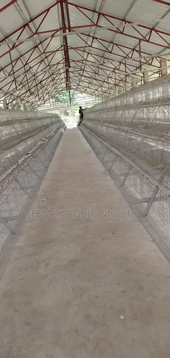 Galvanized Layers Battery Cage