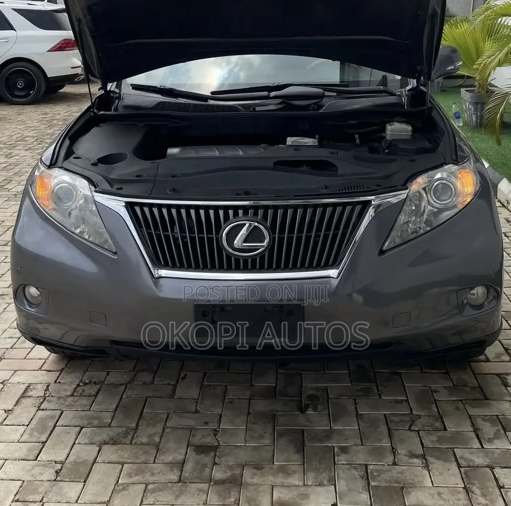 Lexus RX 2012 Gray