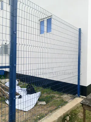 50 X 100 Blue Panel Mesh