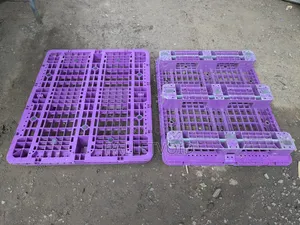 Oversabi Plastic Pallet Wey No Dey Greeee