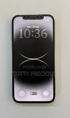 Apple iPhone 12 Pro 128 GB Gray