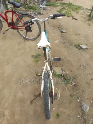 Foldable Bicycle