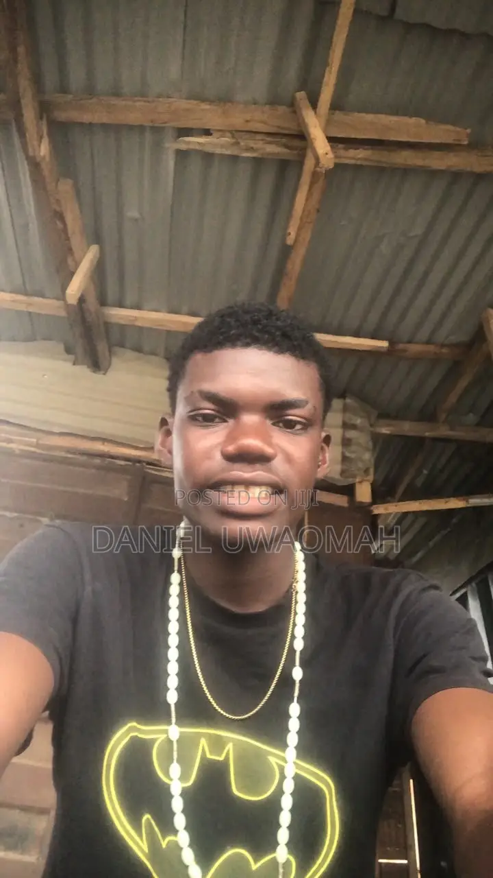 Automobile Electrician