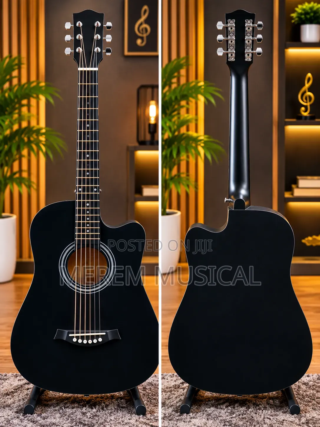 Accustic Guitar