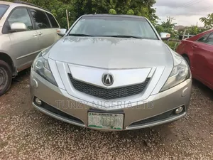 Acura MDX 2010 Silver