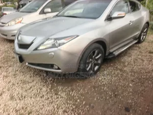 Acura MDX 2010 Silver