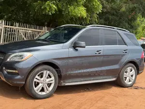 Mercedes-Benz M Class 2015 Gray
