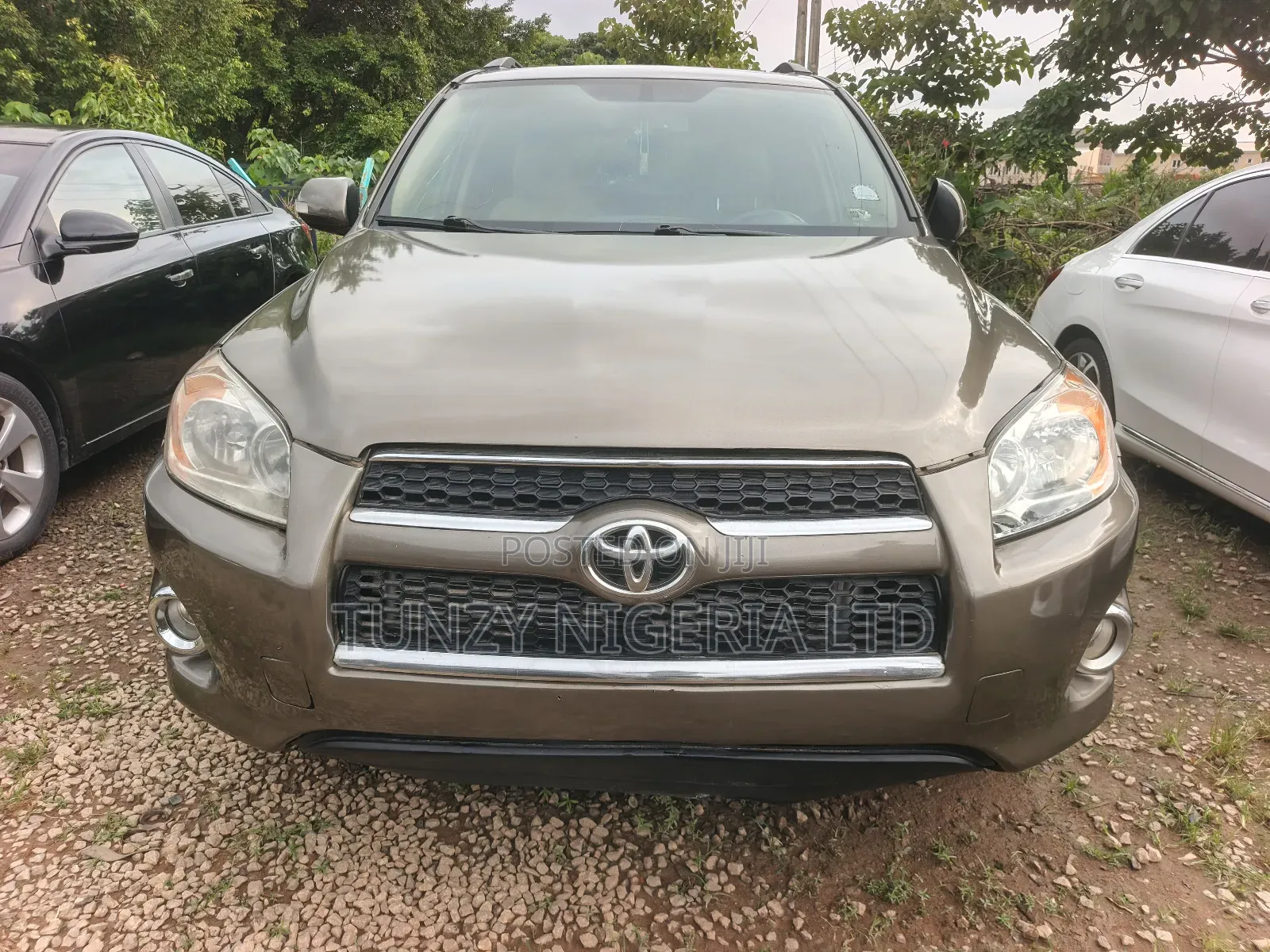 Toyota RAV4 2010 Brown