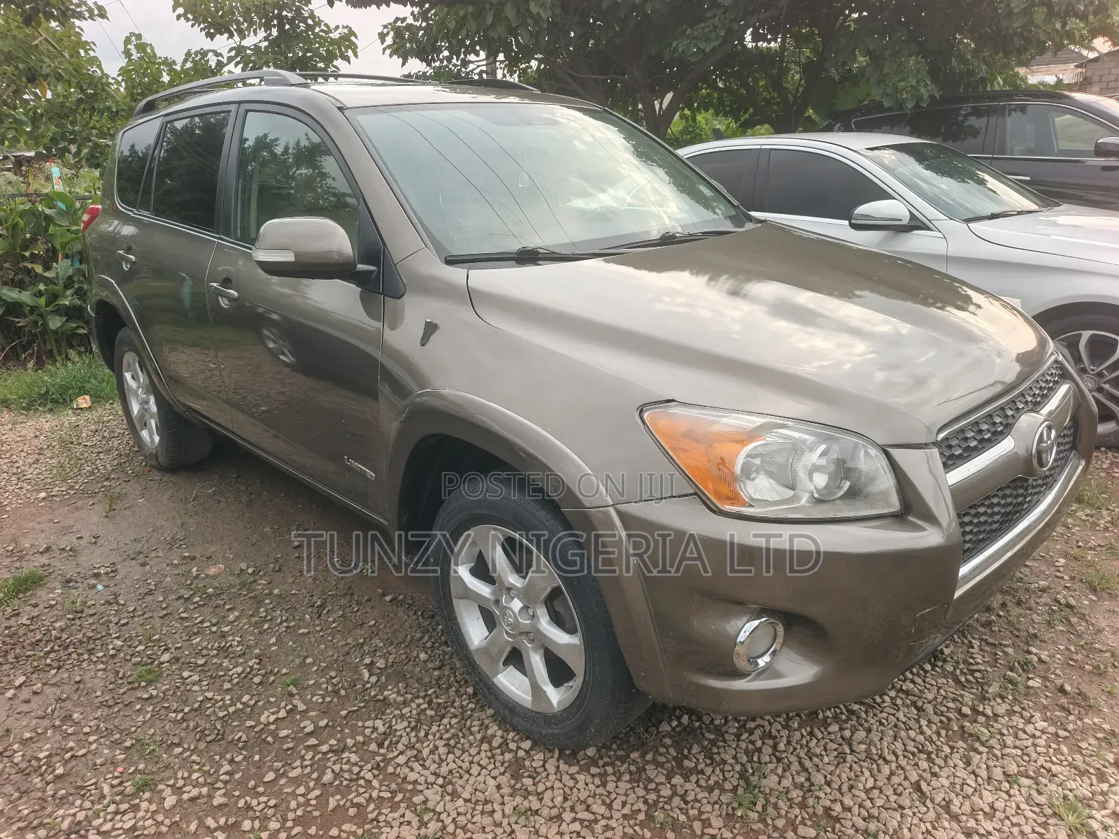 Toyota RAV4 2010 Brown