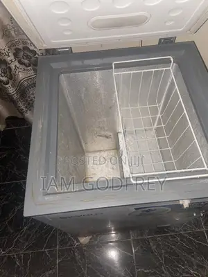 Skyrun Deep Freezer