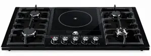 Electric and Gas Burner