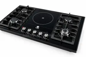 Electric and Gas Burner