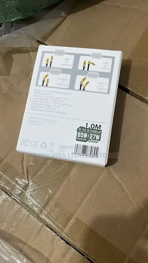 4 in 1 Cord