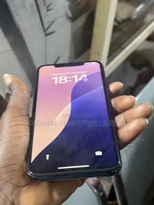 Apple iPhone 11 Pro Max 256 GB Gray